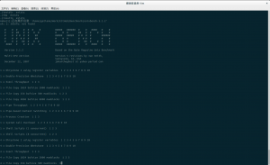 主机达人-unixbench测试